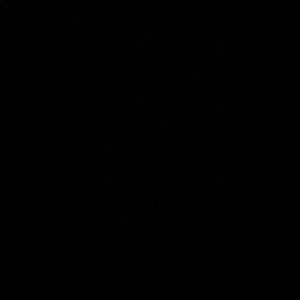 Meet your Posher, Latifah